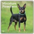 BrownTrout Publisher, Inc Browntrout Publishers, Browntrout Publishing (COR) - Miniature Pinschers 2020 Calendar