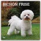 Inc Browntrout Publishers, Browntrout Publishing (COR) - Bichon Frise 2020 Calendar