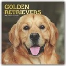 BrownTrout Publisher, Browntrout Publishing (COR) - Golden Retrievers 2020 Calendar