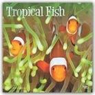 BrownTrout Publisher, Inc Browntrout Publishers, Browntrout Publishing (COR) - Tropical Fish 2020 Calendar