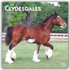 BrownTrout Publisher, Inc Browntrout Publishers, BrownTrout Publishers Inc, Browntrout Publishing (COR) - Clydesdales 2020 Calendar