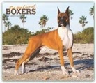 BrownTrout Publisher, Inc Browntrout Publishers, Browntrout Publishing (COR) - For the Love of Boxers 2020 Calendar