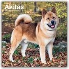 BrownTrout Publisher, Browntrout Publishing (COR) - Akitas 2020 Calendar