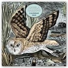 Flame Tree Publishing - Angela Harding 2020 Wall Calendar (Art Calendar)