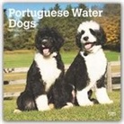 BrownTrout Publisher, Browntrout Publishing (COR) - Portuguese Water Dogs 2020 Calendar