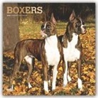 BrownTrout Publisher, Browntrout Publishing (COR) - Boxers 2020 Calendar