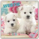 BrownTrout Publisher, Browntrout Publishing (COR) - West Highland White Terrier Puppies 2020 Calendar