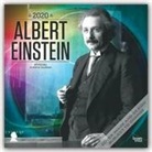 BrownTrout Publisher, Browntrout Publishing (COR) - Einstein 2020 Calendar Square