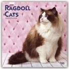 BrownTrout Publisher, Browntrout Publishing (COR) - Ragdoll Cats 2020 Calendar