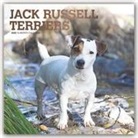 BrownTrout Publisher, Browntrout Publishing (COR) - Jack Russell Terriers 2020 Calendar