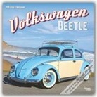 BrownTrout Publisher, Inc Browntrout Publishers, Browntrout Publishing (COR) - Volkswagen Beetle 2020 Calendar