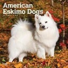 BrownTrout Publisher, Inc Browntrout Publishers, Browntrout Publishing (COR) - American Eskimo Dogs 2020 Calendar