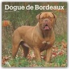 BrownTrout Publisher, Browntrout Publishing (COR) - Dogue De Bordeaux 2020 Calendar