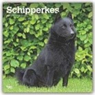 BrownTrout Publisher, Inc Browntrout Publishers, Browntrout Publishing (COR) - Schipperkes 2020 Calendar