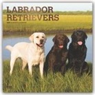BrownTrout Publisher, Browntrout Publishing (COR) - Labrador Retrievers 2020 Calendar
