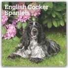 BrownTrout Publisher, Inc Browntrout Publishers, Browntrout Publishing (COR) - English Cocker Spaniels 2020 Calendar