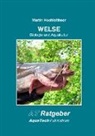 Martin Hochleithner - Welse (Siluridae)