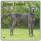 BrownTrout Publisher, Inc Browntrout Publishers, Browntrout Publishing (COR) - Great Danes 2020 Calendar