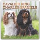 BrownTrout Publisher, Browntrout Publishing (COR) - Cavalier King Charles Spaniels 2020 Calendar