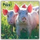 BrownTrout Publisher, Browntrout Publishing (COR) - Pigs 2020 Calendar