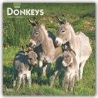 BrownTrout Publisher, Browntrout Publishing (COR) - Donkeys 2020 Calendar