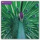 Flame Tree Publishing - Peacocks Wall Calendar 2020 (Art Calendar)