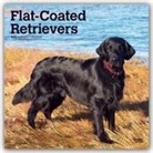 BrownTrout Publisher, Browntrout Publishing (COR) - Flat Coated Retrievers 2020 Calendar