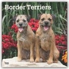 BrownTrout Publisher, Inc Browntrout Publishers, Browntrout Publishing (COR) - Border Terriers 2020 Calendar