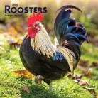 BrownTrout Publisher, Inc Browntrout Publishers, Browntrout Publishing (COR) - Roosters 2020 Calendar