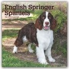 BrownTrout Publisher, Inc Browntrout Publishers, Browntrout Publishing (COR) - English Springer 2020 Calendar