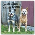 BrownTrout Publisher, Browntrout Publishing (COR) - Australian Cattle Dogs 2020 Calendar