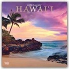BrownTrout Publisher, Browntrout Publishers Inc, Browntrout Publishing (COR) - Wild & Scenic Hawaii 2020 Calendar