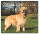 BrownTrout Publisher, Browntrout Publishing (COR) - For the Love of Golden Retrievers 2020 Calendar