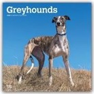 BrownTrout Publisher, Inc Browntrout Publishers, Browntrout Publishing (COR) - Greyhounds 2020 Calendar