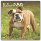 BrownTrout Publisher, Inc Browntrout Publishers, Browntrout Publishing (COR) - Bulldogs 2020 Calendar