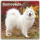 Brown Trout Publisher, Browntrout Publishing (COR) - Samoyeds 2020 Calendar