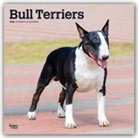 BrownTrout Publisher, Browntrout Publishing (COR) - Bull Terriers 2020 Calendar