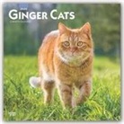 BrownTrout Publisher, Inc Browntrout Publishers, Browntrout Publishing (COR) - Ginger Cats 2020 Calendar