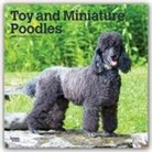 BrownTrout Publisher, Browntrout Publishing (COR) - Toy and Miniature Poodles 2020 Calendar