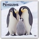 BrownTrout Publisher, Browntrout Publishing (COR) - Penguins 2020 Calendar