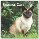 BrownTrout Publisher, Inc Browntrout Publishers, Browntrout Publishing (COR) - Siamese Cats 2020 Calendar