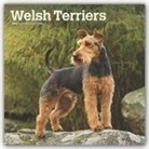 BrownTrout Publisher, Browntrout Publishing (COR) - Welsh Terriers 2020 Calendar