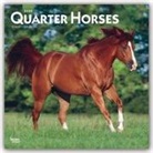 BrownTrout Publisher, Browntrout Publishing (COR) - Quarter Horses 2020 Calendar