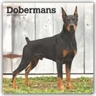 BrownTrout Publisher, Browntrout Publishing (COR) - Dobermans 2020 Calendar
