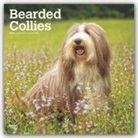 BrownTrout Publisher, Browntrout Publishing (COR) - Bearded Collies 2020 Calendar