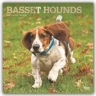 BrownTrout Publisher, Inc Browntrout Publishers, Browntrout Publishing (COR) - Basset Hounds 2020 Calendar