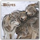 BrownTrout Publisher, Browntrout Publishing (COR) - Wolves 2020 Calendar