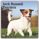 BrownTrout Publisher, Inc Browntrout Publishers, Browntrout Publishing (COR) - Jack Russell Terriers 2020 Calendar