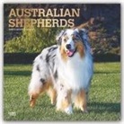BrownTrout Publisher, Browntrout Publishing (COR) - Australian Shepherds 2020 Calendar