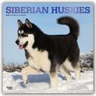 BrownTrout Publisher, Browntrout Publishing (COR) - Siberian Huskies 2020 Calendar